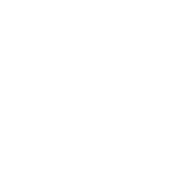 10 Year Warranty Badge